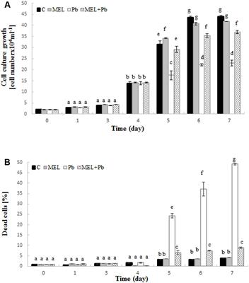 Melatonin Protects Cultured Tobacco Cells against Lead-Induced Cell Death via Inhibition of Cytochrome c Translocation